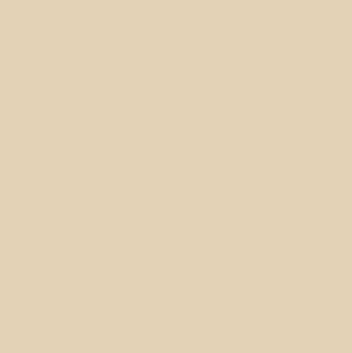 Lab Surface Sand solid color chart swatch
