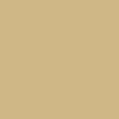 Lab Surface Tan solid color chart swatch